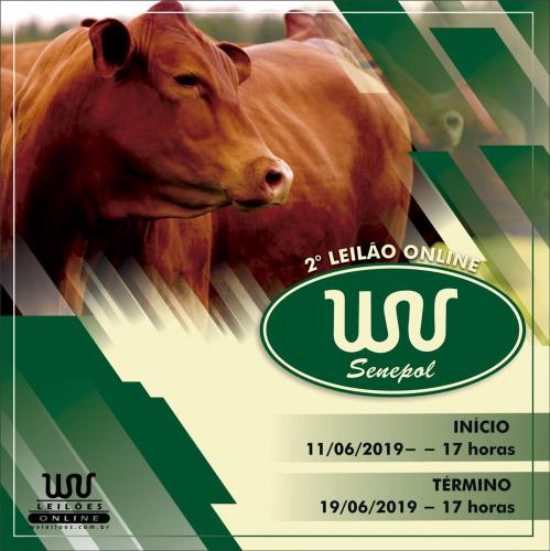 2º LEILÃO ONLINE WV SENEPOL